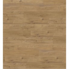Oak Sicilia Nature
